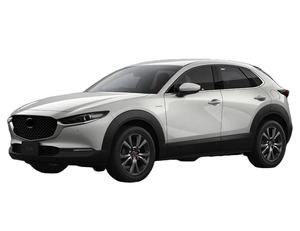 Soporte de Radiador OEM DGH9-53-150 DGH953150, Kits de Carrocería Superior para MAZDA CX30 2020, Barra de Unión - Product Image 1