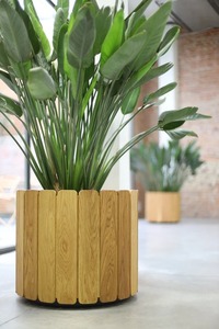 Pot de fleurs géométrique en béton personnalisable couleur 2026, haute qualité, étanche, pour plantes d'intérieur, vente en gros - Product Image 6