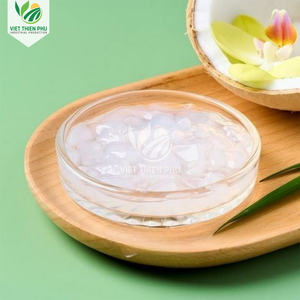 VIET THIEN PHU – GELÉE DE COCO EN CUBES – QUALITÉ INDUSTRIELLE POUR L'INDUSTRIE AGROALIMENTAIRE - Product Image 3