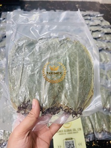 Natural Herbs Detox Team From Dried Soursop Leaves / Graviola Leaves 100% Made in Vietnam for Export - Product Image 5