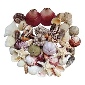 PRODUIT PHARE : Coquillages décoratifs naturels et durables faites à la main, motif LOTUS BLEU, pour fêtes sur la plage et événements écologiques - Product Image 1