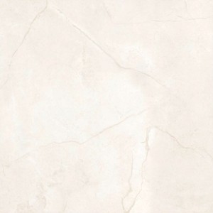 Azulejos de Porcelana Digital de 600x600 mm, 8.5 mm de Grosor, Superficie Pulida, Acabado Premium, Antibacterianos, Antideslizantes, Vitrificados - Product Image 2