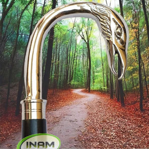 Mango de cisne de latón antiguo, palo de madera para caminar y senderismo, bastón de madera con mango de cisne de latón - Product Image 2