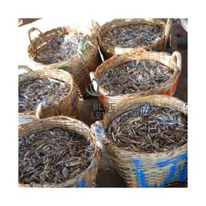 Anchois séchés de qualité supérieure 2026 pour régime cétogène et fitness, fruits de mer purs, certifiés propres et sûrs, sélection de produits marins, kit S - Product Image 1