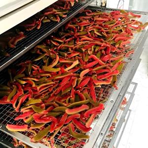 VIETNAM FACTORY Soft Dried Papaya Premium Natural Fruit Snacks Bulk Packing for Wholesale Healthy Food - Product Image 4