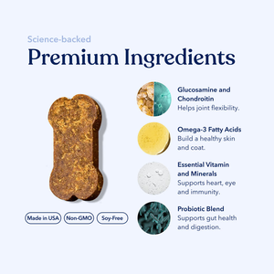 OEM <b>10</b> 1 Dog Multivitamin Soft Chews Vitamin Glucosamine Safe Organic Pet Supplement Joint Health Immunity Support Bulk Supply - Product Image 5