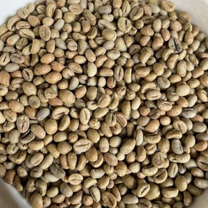 Vietnam Robusta Green Coffee <b>Beans</b> Bulk Supply Export Quality Coffee Roasters Worldwide - Product Image 5