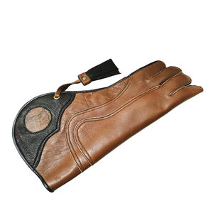Gants de Falconerie en Cuir Respirant Personnalisés - Vente en Gros à Chaud avec Outils de Falconerie, Faible MOQ - Product Image 1