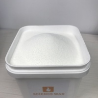 Meistverkauftes Wissenschaftliches Wachs Weißes Perlmutt Premium Granuliertes Eis-Sand-Wachs Kundenspezifische Form Großpackung für Handgemachte DIY Duftkerzen