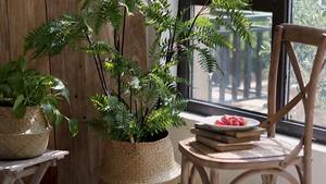 Juego de 3 cestas plegables de mimbre con asas, cestas de almacenamiento hechas a mano, venta al por mayor, ecológicas, hechas en Vietnam - Product Image 6