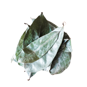 Proveedor de Materia Prima para Té de Hojas Secas de Guanábana - Product Image 3