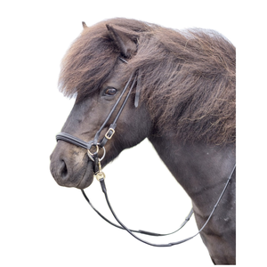 Brida islandesa de charol negro duradero para montar a caballo Brida de doma cómoda Diseño ligero Rub International - Product Image 6