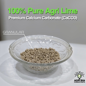 AgriLime Pure Agri Lime Granulaire Carbonate de Calcium CaCO3 Séché Durée de Conservation 5 Ans Faridabad pour la Gestion des Sols Agricoles - Product Image 1