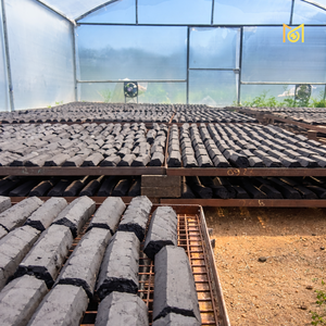 Briquetas de Carbón de Coco Hexagonales de Larga Duración (6H+) |   UN 1361 Grado de Seguridad para Exportación |   7500kcal Alta Temperatura |   Vitronexa Premium al por Mayor - Product Image 2