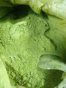 Bolsa de té de hierbas en polvo de jugo de apio natural Premium 100% directamente de Vietnam - Product Image 5