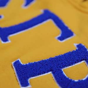 Nouveau design 2026 – Sweat-shirts à capuche Sigma Gamma Rho SGR en gros, lettres grecques brodées en chenille or et bleu, vêtements de sororité - Product Image 5