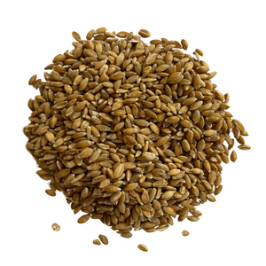 Blé en vrac prêt pour la commercialisation, provenant de producteurs agricoles, blé propre avec 11 % d'humidité, pour la distribution mondiale, en vrac à vendre - Product Image 3