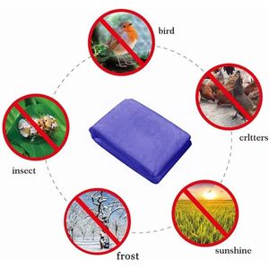 1 Pezzo Telo Rotondo per Serra da 3 Metri ad Alta Efficienza, Resistente ai Raggi UV, Antivento e Anti-insetti per la Protezione delle Piante - Product Image 2