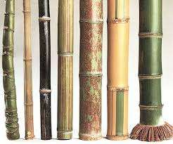 Baguettes de bambou, crochet vietnamien - Product Image 5