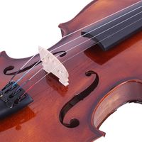 Classic Solid Wood 4/4 Violin Set with Strings Rosin Shoulder Rest Electronic Tuner XH Gift for Musicians
