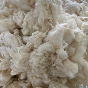 Algodón Combernoil Clean de alta calidad, marca Nithya, cantidad mínima 23 toneladas +/- 10. Contacte a la Sra. Kate +84387097963 - Product Image 3