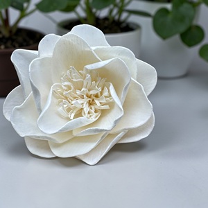 ดอกไม้ไม้โซล่า VADEE SOLA WOOD FLOWER ทำมือ งานฝีมือแบบยั่งยืน ดอกไม้ไม้โซล่าสีงาช้างสไตล์วินเทจ ขนาด 8.5 ซม. ก้านทำจากเส้นใยพืชเซสบานีอา - Product Image 4