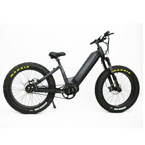 Bicicleta Eléctrica Híbrida de Carretera 2024, Último Modelo, 48V Bafang M620 M630, 5 Velocidades Automáticas, Transmisión por Correa, Motor Central de 1000W, Bicicleta Urbana en Venta - Product Image 1