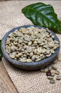 Vietnam Specialty Green <b>Coffee</b> <b>Beans</b> <b>Robusta</b> S16 Wholesale Direct Export USDA Organic Certified Low Defect TNFOOD AA+ Grade - Product Image 5