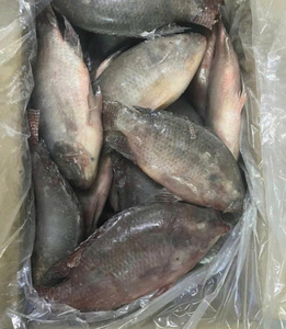Poisson Rouge Congelé Entier Premium – Haute Qualité, Prix Compétitif, Valeur Nutritionnelle Élevée, 100% Naturel Sous Vide - Product Image 5