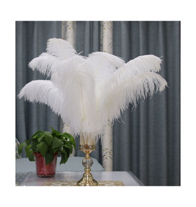 Best Sale Ostrich <b>Feather</b> Wholesale Dusting <b>Feather</b> For Electronics And Car Cleaning Use - Product Image 3