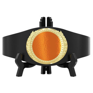 Cinturón de Campeonato de Lucha Libre Personalizado con Color Único, Correa Resistente de Cintura Alta con Placas Estampadas Estándar en mm - Product Image 1
