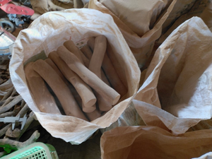 Bâton à mâcher pour chien en bois de café écologique, sans éclats, jouet naturel pour animaux de compagnie, pour le nettoyage des dents et le soulagement de l'ennui - VENTE CHAUDE - Product Image 4