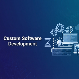 Services logiciels personnalisés de premier ordre : développement d'applications sur mesure, intégration d'entreprise et solutions numériques évoluables - Product Image 3