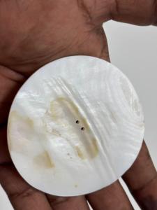 Mother of pearl pieces with natural iridescent <b>beauty</b> ideal for jewelry making crafts accessories decor and artisan <b>creations</b> - Product Image 4