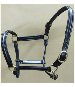 BLUHORSE Halter en cuir véritable rembourré avec surpiqûres blanches, personnalisable avec pierres, pour chevaux, toutes tailles disponibles - Product Image 1