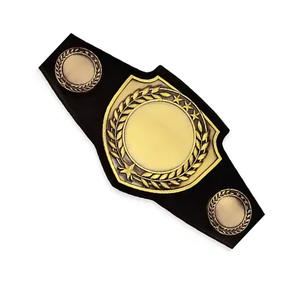 Ceinture de champion personnalisée par le fabricant, robuste, grande plaque en métal doré, pour la lutte, la boxe, les arts martiaux, ceintures de championnat WWF - Product Image 5