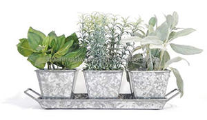 Maceta pulida y brillante para decoración del hogar y jardín, jardineras de hierro galvanizado a bajo precio - Product Image 2