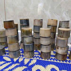 Soportes para Lámparas de Cuerno de Toro y Buey de Alta Calidad, Ecológicos, Modernos, Hechos a Mano, Accesorios para Lámparas Premium a Precios Competitivos - Product Image 2