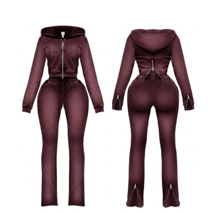 Conjunto de 2 Piezas de Sudadera con Capucha y Pantalones Deportivos para Mujer, Primavera 2025, Transpirable, Ligero, Personalizado, Lavado al Ácido, de Fabricantes de Ropa - Product Image 4