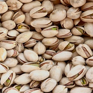 Pistachos Crudos Orgánicos Premium con Sabor Rico y Textura Crujiente, Ideales para Recetas Gourmet, Empaque Minorista, Productos para Aperitivos - Product Image 5