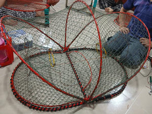 Trampa Plegable Doble para Calamar y Sepia, Jaula de Red con Resorte para Pulpo, Olla de Pesca, Equipo de Pesca Marítima, Herramienta Comercial de Captura, PE Duradero - Product Image 4