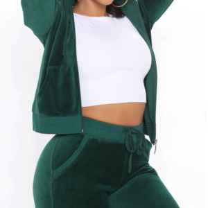 Sophisticated Solid Plain Two Piece Plus Size Minimalist Autumn Leisure Wear Aesthetic Velvet <b>Track</b> <b>Suit</b> - Product Image 4