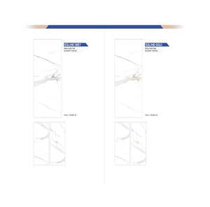 Azulejos de Cerámica de Alta Calidad de 600x1200 mm, 60*120 cm, Acabado Pulido Brillante o Mate, la Mejor Relación Calidad-Precio de la India para Uso en Interiores - Product Image 1