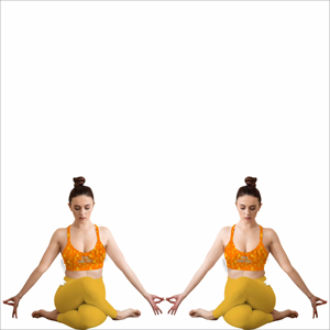 Conjuntos de Yoga para Mujer Más Vendidos con MOQ Bajo, Material Duradero, Marca Privada - Product Image 3