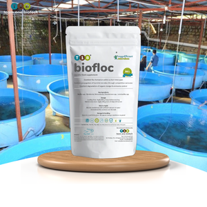 Biofloc thức ăn phụ gia cho ao điều trị hiệu quả trong Ammonia giải độc - Product Image 1