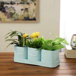Lot de 3 pots à herbes pour rebord de fenêtre de cuisine, jardinière d'intérieur avec plateau pour usage domestique, en fibres végétales écologiques, personnalisable - Product Image 1