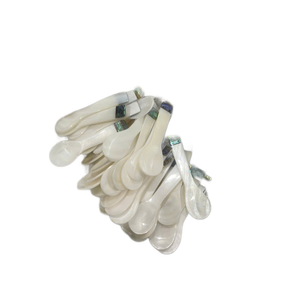 Cuillère artisanale vietnamienne en coquillage, fabriquée en nacre, pour la décoration de la maison et l'utilisation à table. - Product Image 1