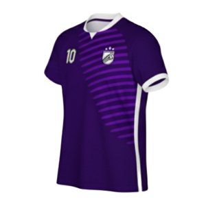 Camiseta de fútbol con acentos blancos Número 10 Logotipo de escudo de equipo a rayas Camiseta de fútbol transpirable de secado rápido de manga corta - Product Image 2