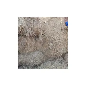 Pertanian sisa beras kering rumput mentah PADDY dikemas dengan gulungan atau Bal besar untuk mengekspor
