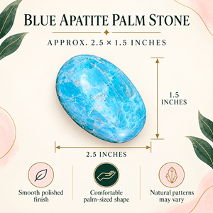 Pierre de palmier en apatite bleue polie et roulée (Image de cristal) du Maharashtra pour la décoration intérieure, le Feng Shui, les cadeaux et les objets de collection - Product Image 3